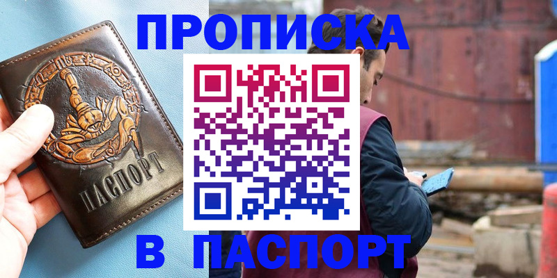 прописка в Камешково